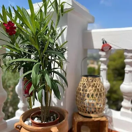 Precioso Mandarinos Con Vistas Al Mar