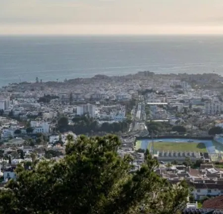 Precioso Mandarinos Con Vistas Al Mar