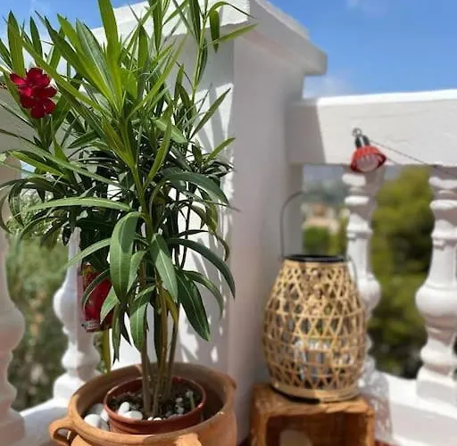 Precioso Mandarinos Con Vistas Al Mar