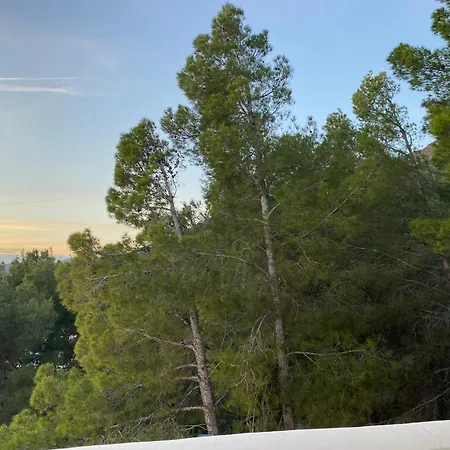 Precioso Mandarinos Con Vistas Al Mar