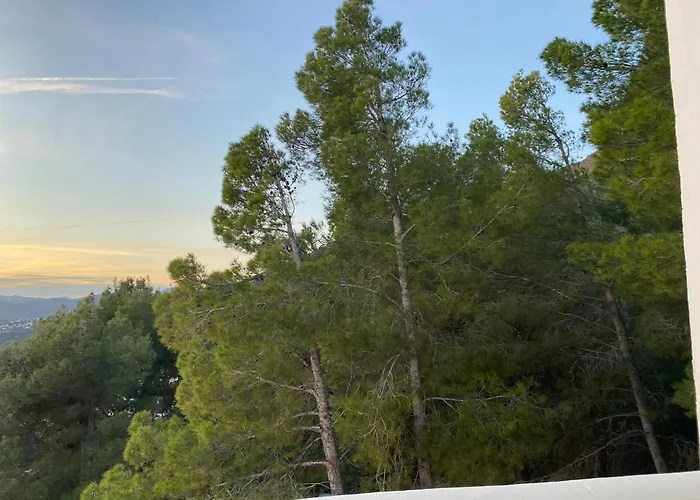 Precioso Mandarinos Con Vistas Al Mar